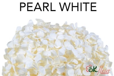 Andes Ajisai / Pearl White