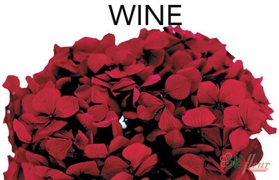 Andes Ajisai / Wine