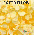 Andes Ajisai / Soft Yellow