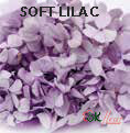 Andes Ajisai / Soft Lilac