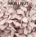 Andes Ajisai / Hazelnut