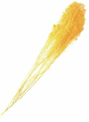BROOMS