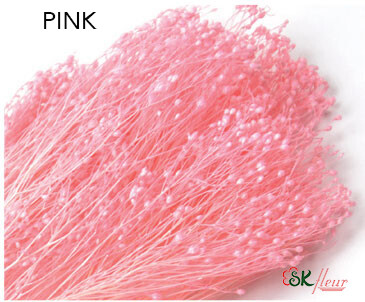 Brooms / Pink