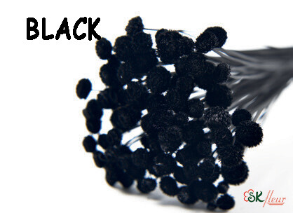 Amarelino DRIED / Black