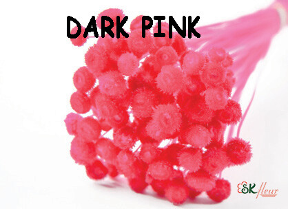 Amarelino DRIED / Dark Pink