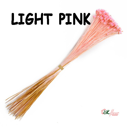 Jazilda DRIED / Light Pink