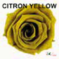 Baby Rose / Citron Yellow