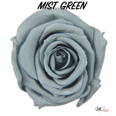 Baby Rose / Mist Green