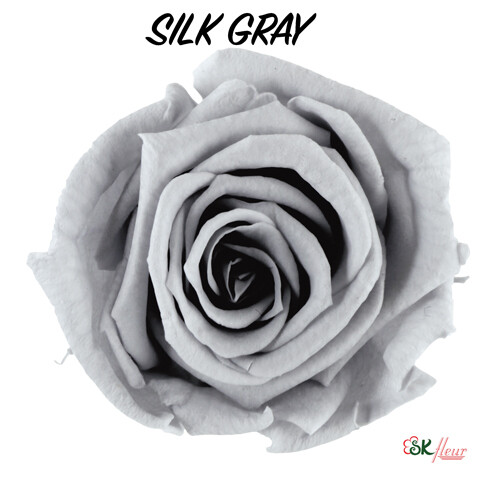 Baby Rose / Silk Gray