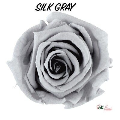 Baby Rose / Silk Gray
