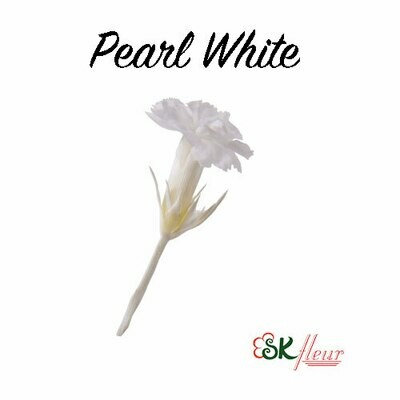 Micro Carnation / Pearl White