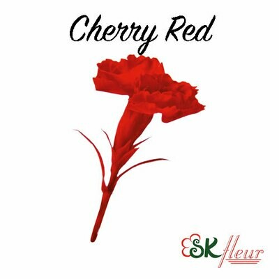 Micro Carnation / Cherry Red