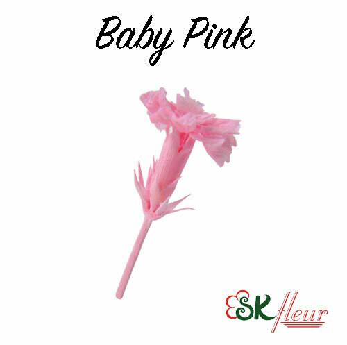 Micro Carnation / Baby Pink