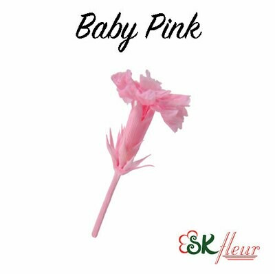 Micro Carnation / Baby Pink