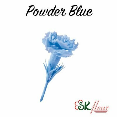 Micro Carnation / Powder Blue
