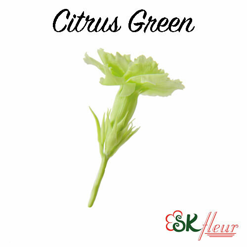 Micro Carnation / Citrus Green