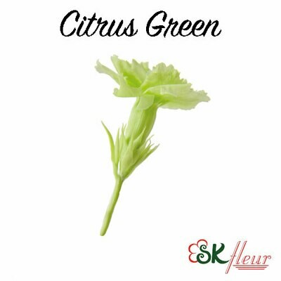 Micro Carnation / Citrus Green