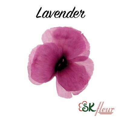 Dianthus / Lavender