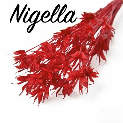 NIGELLA DRIED