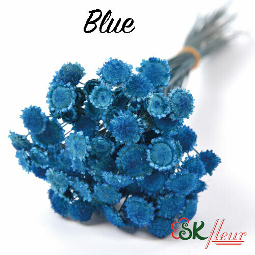 Margaret DRIED / Blue