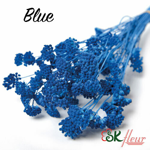 Yarrow DRIED / Blue