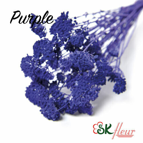 Yarrow DRIED / Purple