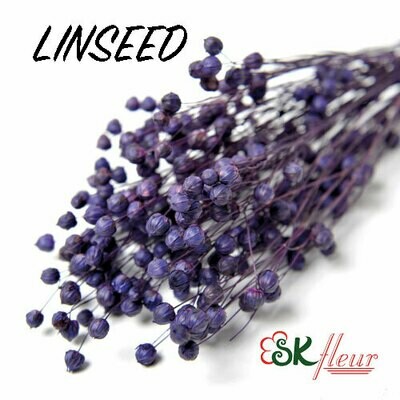 LINSEED DRIED