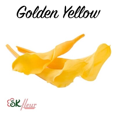 Mini Calla Lily / Golden Yellow
