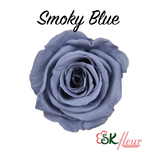 Mediana Rose / Smoky Blue