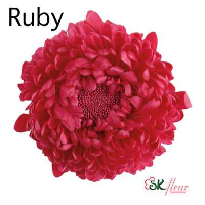 ASTER