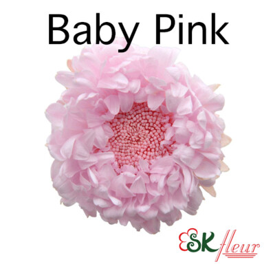 Aster / Baby Pink