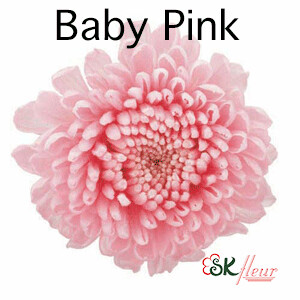 Pompon Mum / Baby Pink