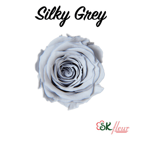 Piccola Blossom Rose / Silky Gray