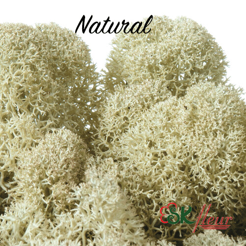 Moss/ Natural