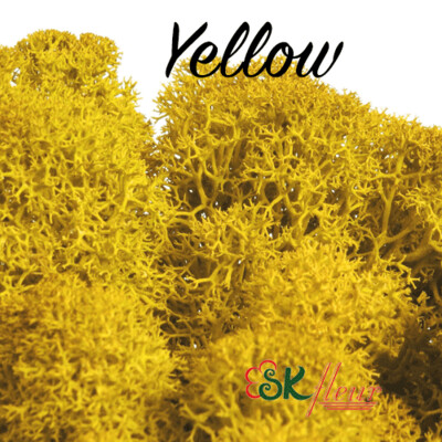 Moss/ Yellow