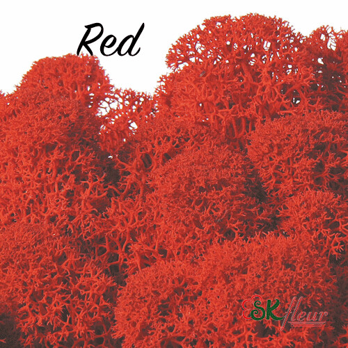 Moss/ Red