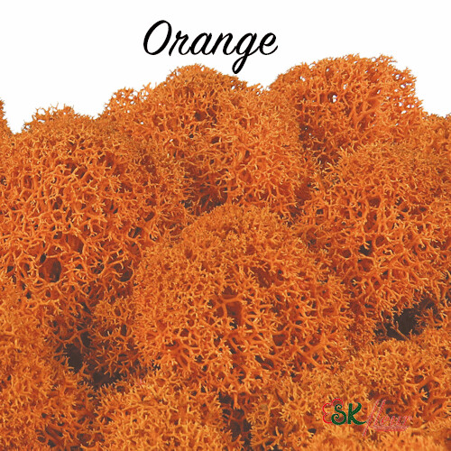Moss/ Orange