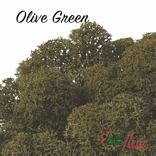 Moss/ Olive Green