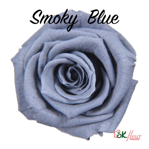 Baby Rose / Smoky Blue