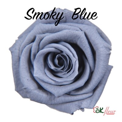 Baby Rose / Smoky Blue