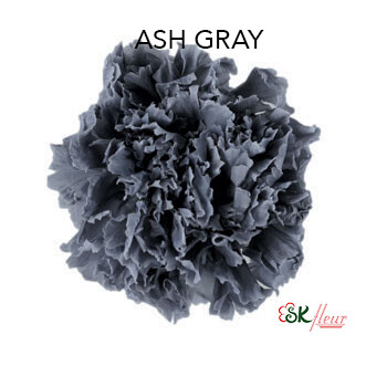 Standard Carnation / Ash Gray