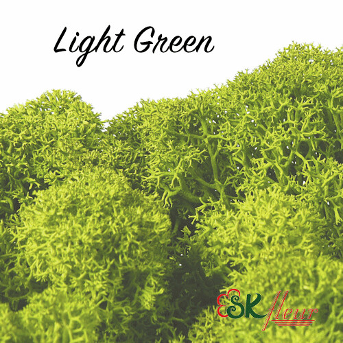 Moss/ Light Green