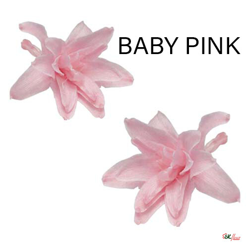 Tuberose / Baby Pink