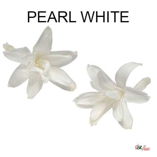 Tuberose / Pearl White