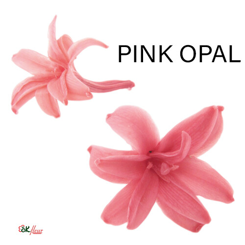 Tuberose / Pink Opal