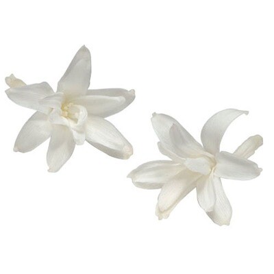 TUBEROSES