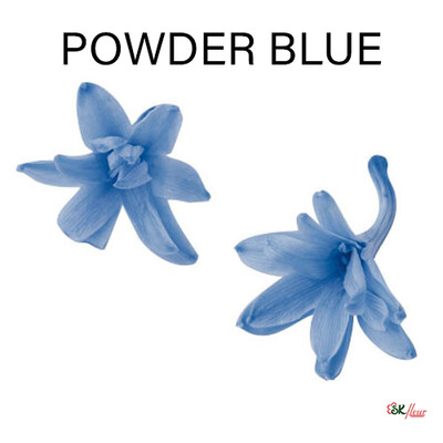 Tuberose / Powder Blue