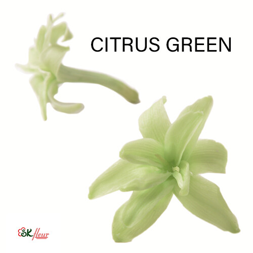 Tuberose / Citrus Green