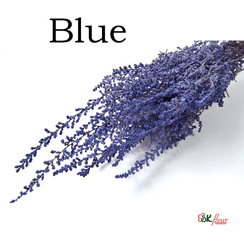 Stoebe / Blue