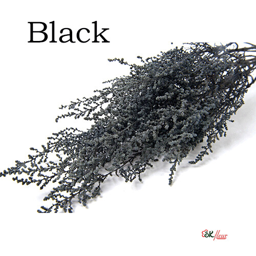Stoebe / Black